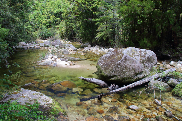 J17_4114 Abel Tasman NP.JPG
